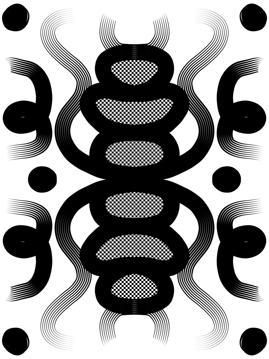 A mirrored black-and-white symmetry drawing